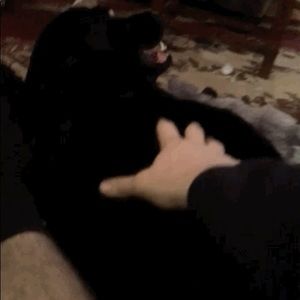 Meet your Posher, James